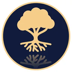 Baumi