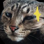Catastropherz