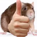 Emigmatic