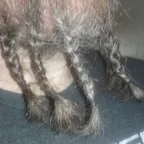 Glorious _Bigbeard