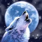 The Final Wolf
